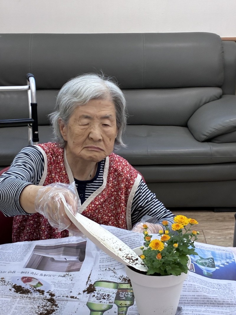 도봉실버센터 9월15일 원예활동 프로그램입니다.(2,4층) 사진 4