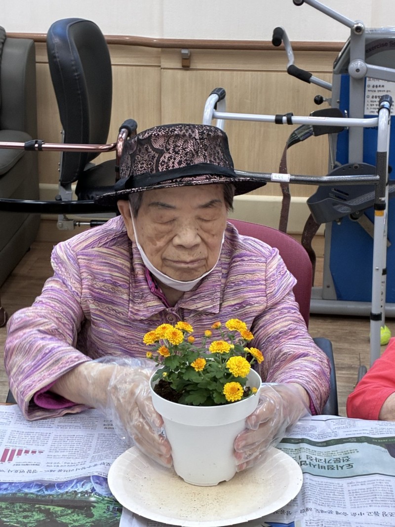 도봉실버센터 9월15일 원예활동 프로그램입니다.(2,4층) 사진 5