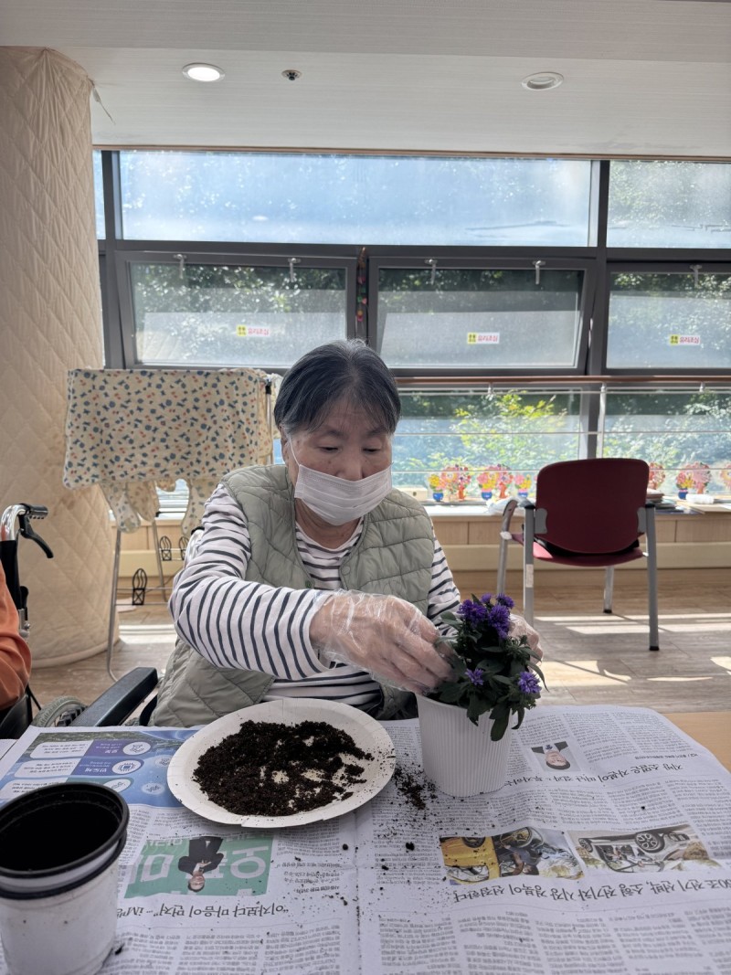 도봉실버센터 9월4일 원예활동 프로그램입니다.(3층) 사진 5