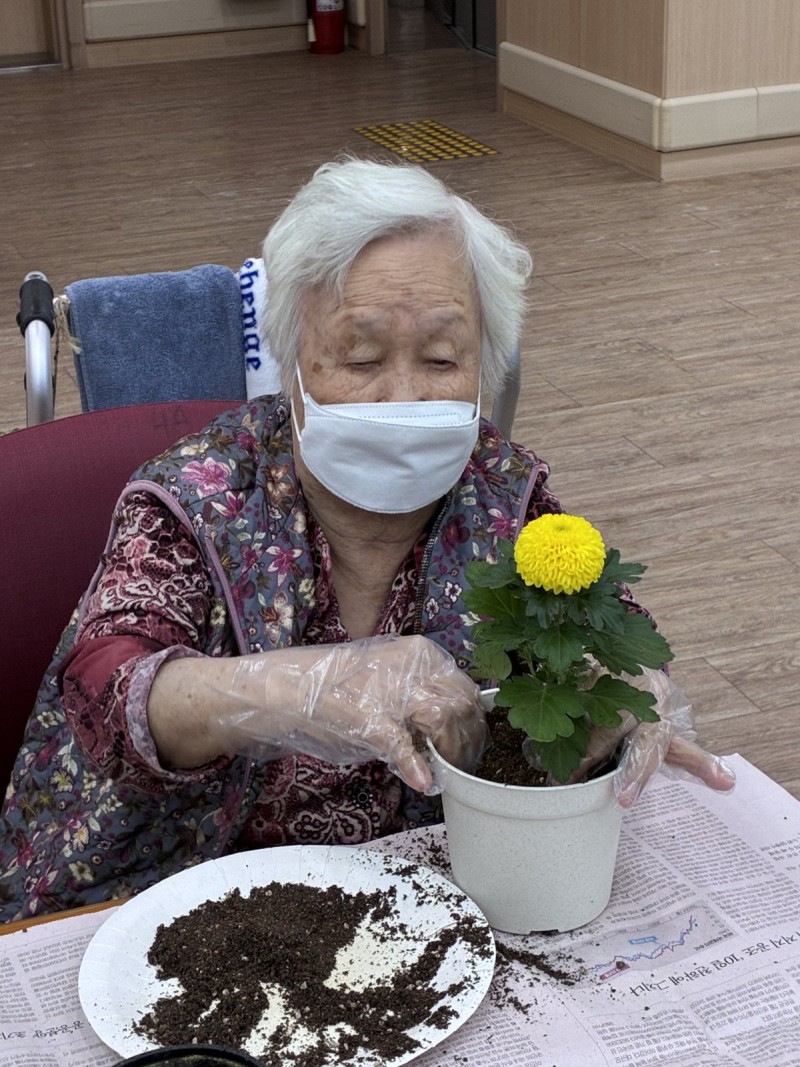 도봉실버센터 10월6일 원예활동 프로그램입니다.(2,4층) 사진 3