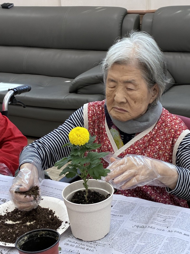 도봉실버센터 10월6일 원예활동 프로그램입니다.(2,4층) 사진 5