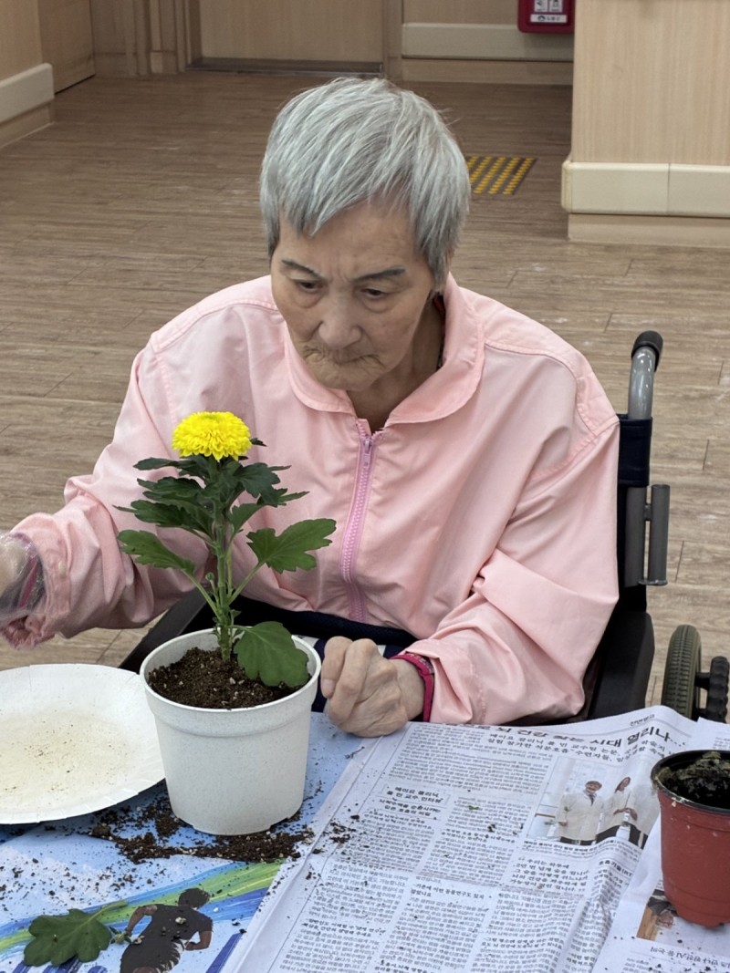도봉실버센터 10월6일 원예활동 프로그램입니다.(2,4층) 사진 7