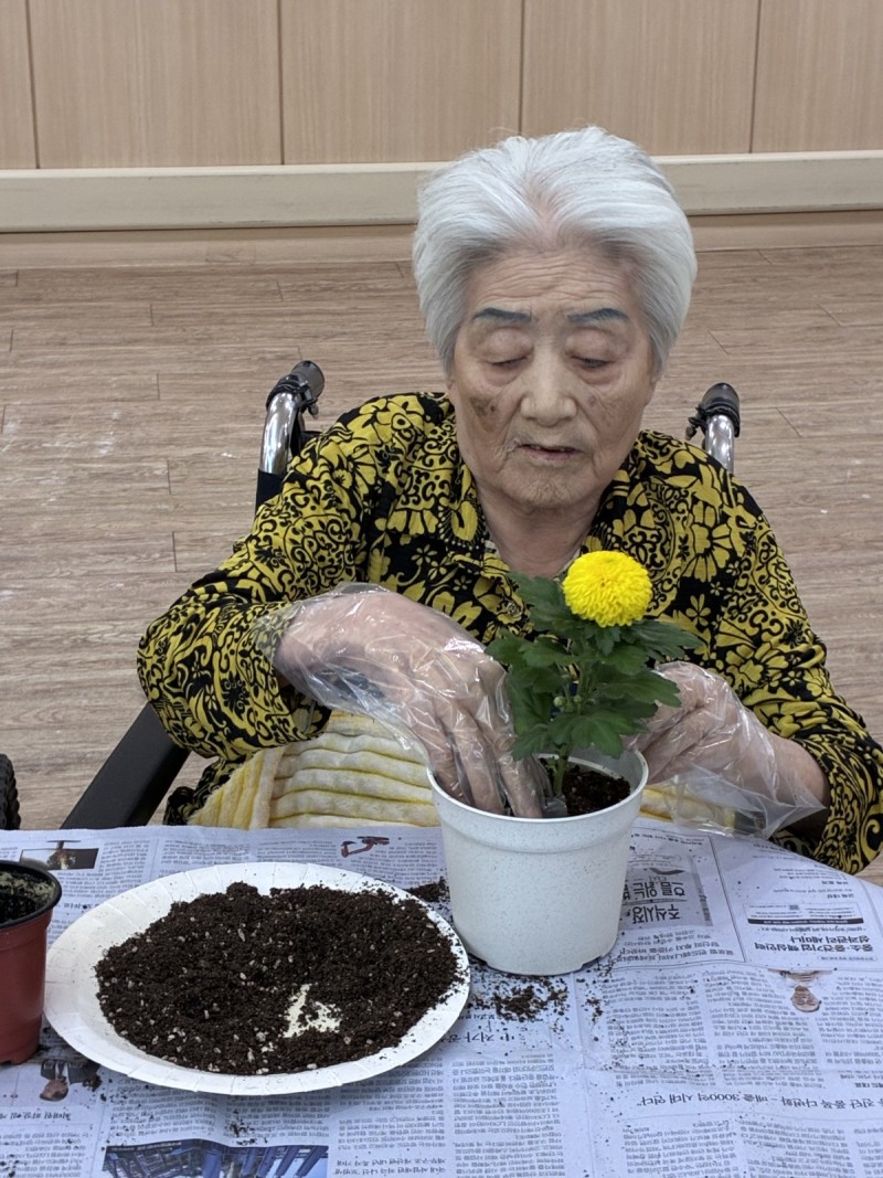 도봉실버센터 10월6일 원예활동 프로그램입니다.(2,4층) 사진 8