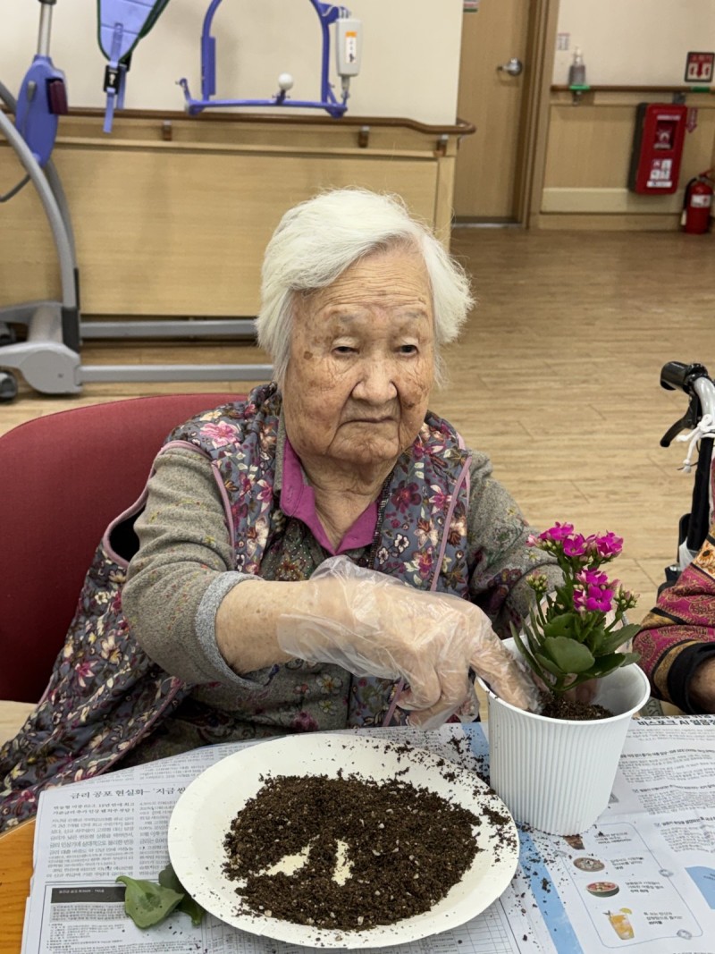 도봉실버센터 10월27일 원예활동 프로그램입니다.(2,4층) 사진 9