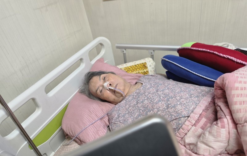 도봉실버센터 10월20일 영상 감상 프로그램입니다.(전층:[동물농장]인싸 고양이 총출동) 사진 2
